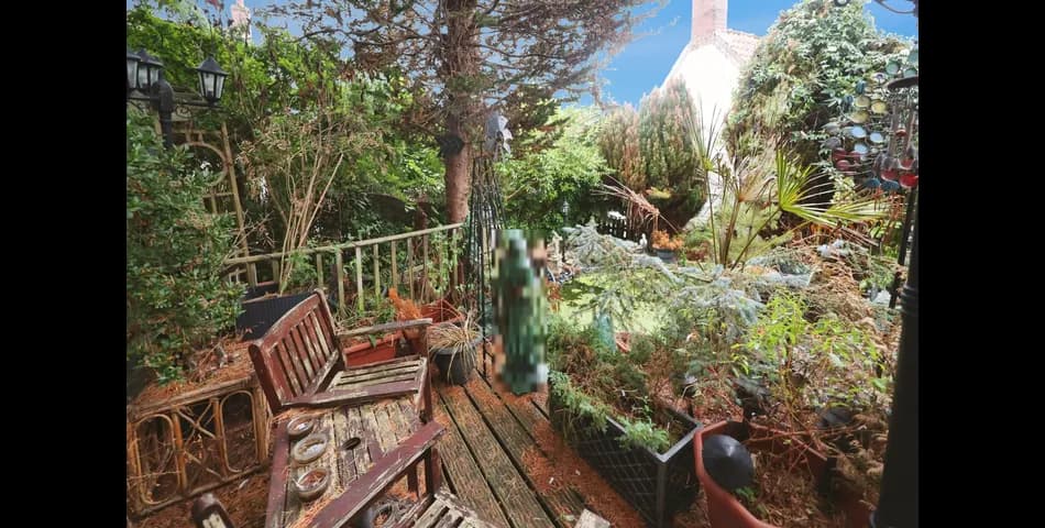 Property Image 15